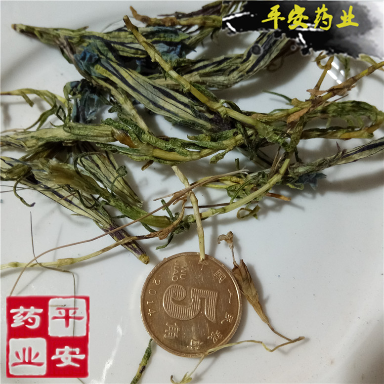 龙胆花虞美人65永~02_副本.jpg