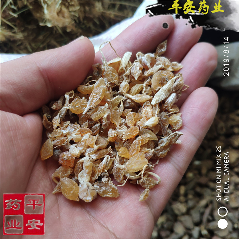 薤白34王_副本.jpg