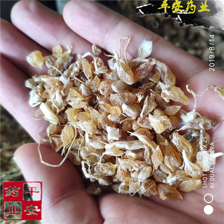 薤白34王~02_副本.jpg