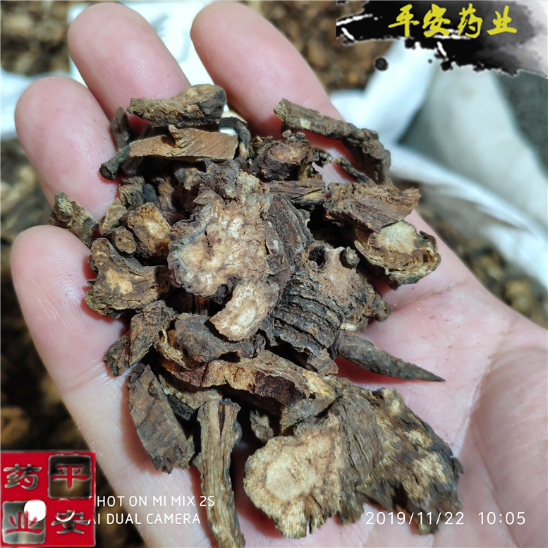 西羌活30王西~05_副本.jpg