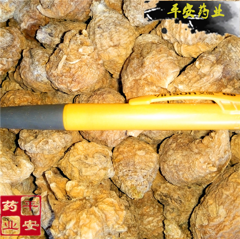 黄玛咖E黄玛卡_副本.jpg