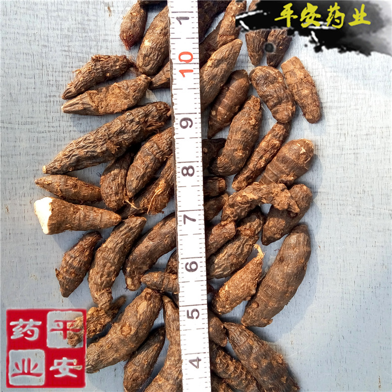 香附12大胖_副本.jpg