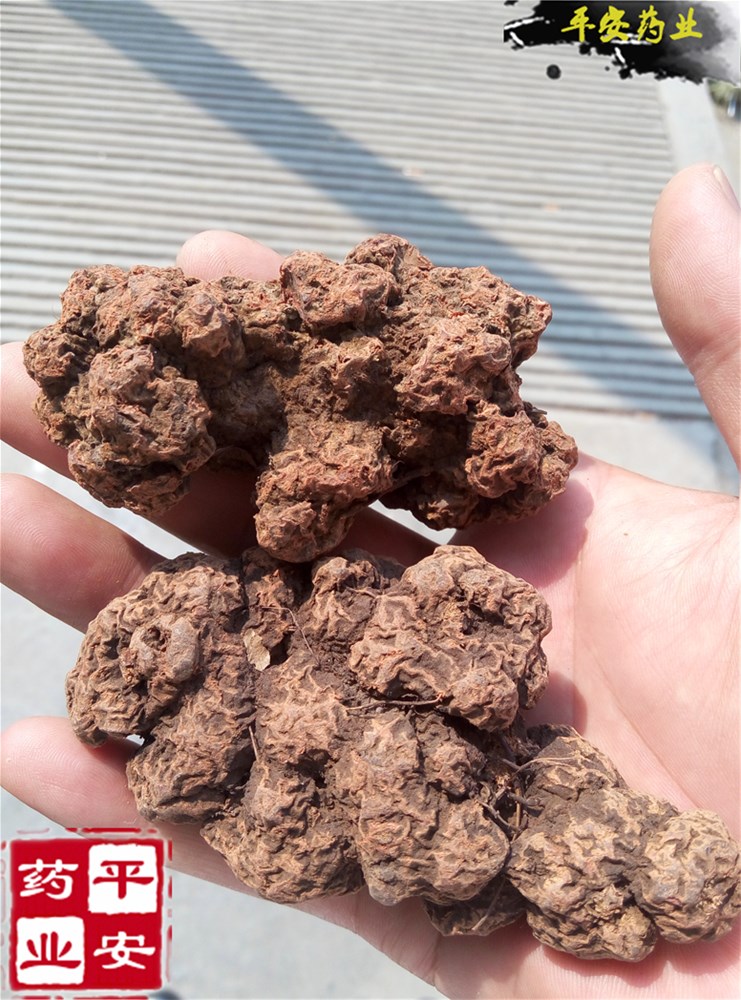 朱砂莲，血三七500康450东_副本.jpg