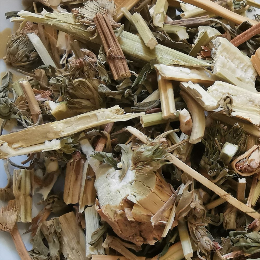 益母草3_副本.jpg
