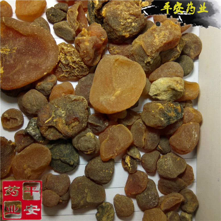 土贝母15大~07_副本.jpg