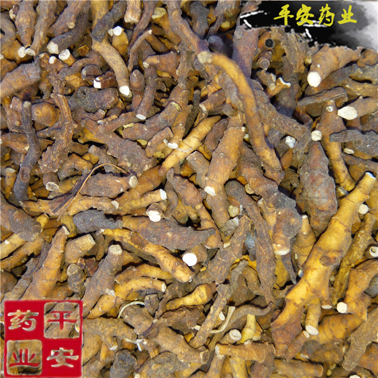 节菖蒲九节菖蒲~05_副本.jpg