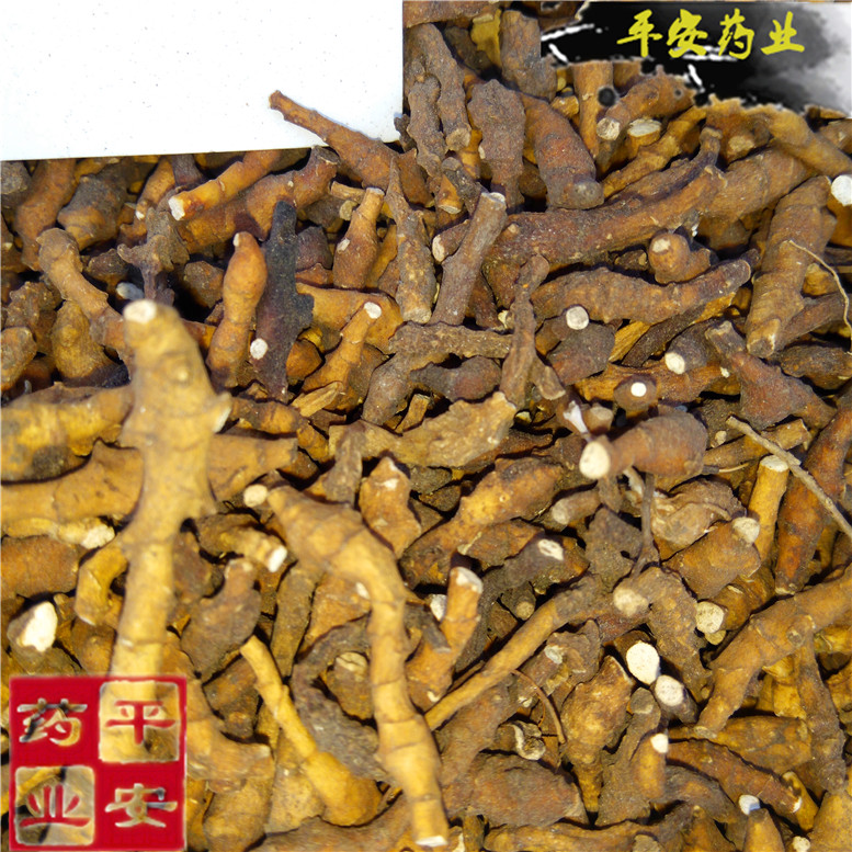 节菖蒲九节菖蒲~02_副本.jpg