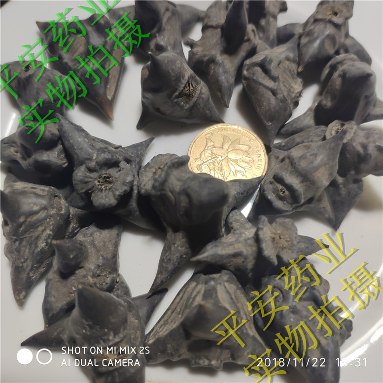 菱角10康_副本.jpg