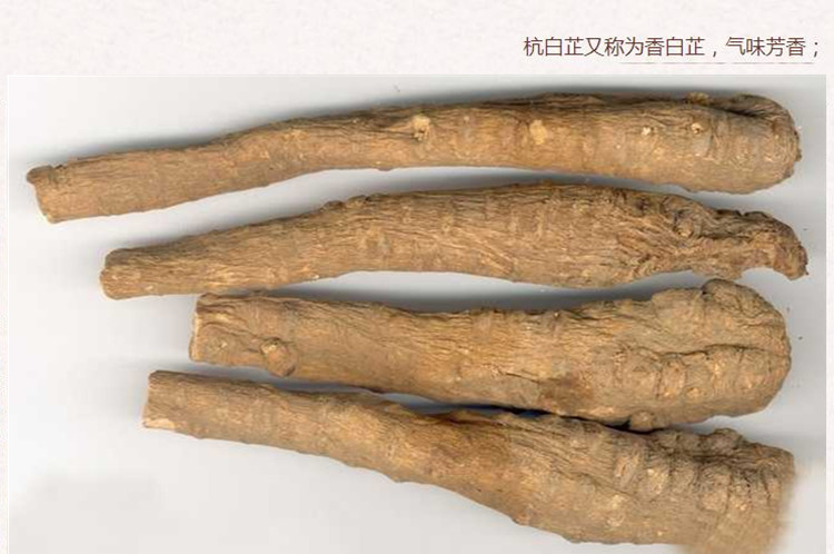 白芷个2.jpg