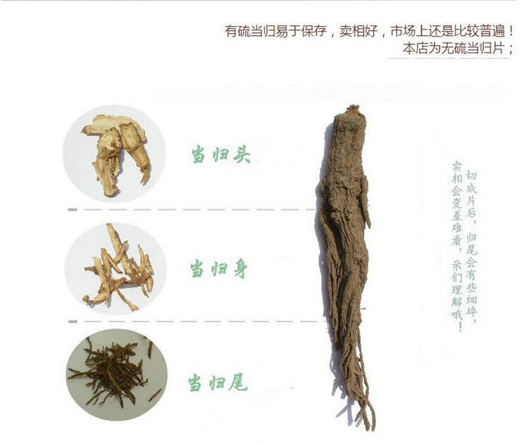 当归片0.33.jpg