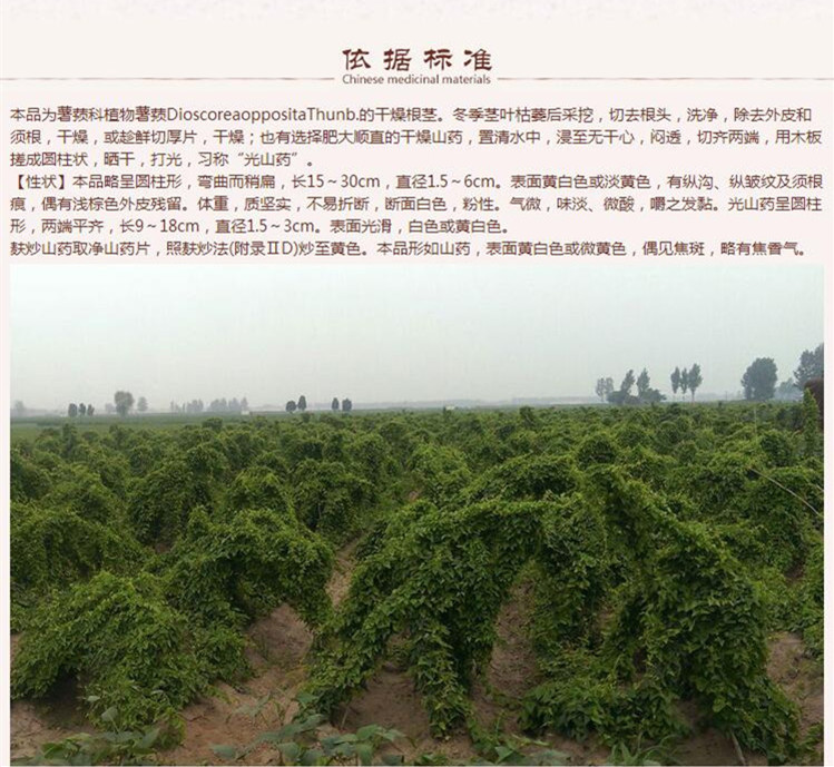 山药选货11.jpg