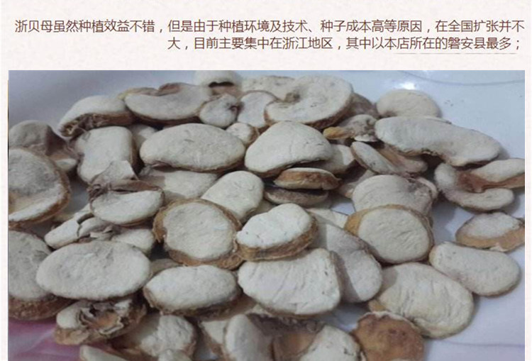 统片浙贝母6.jpg