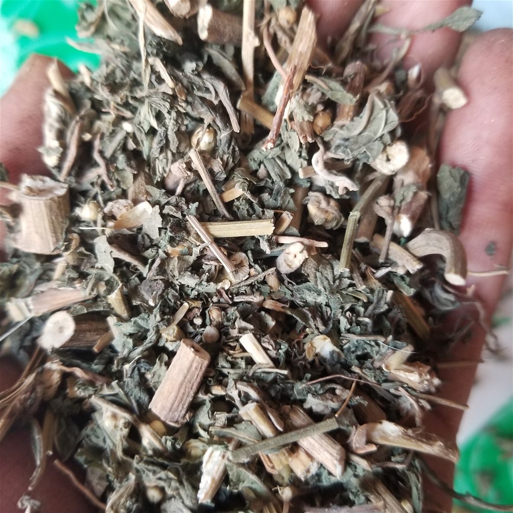 20190327_145406.jpg