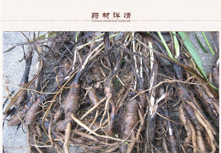 仙茅2.jpg