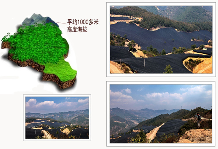 首页2.jpg
