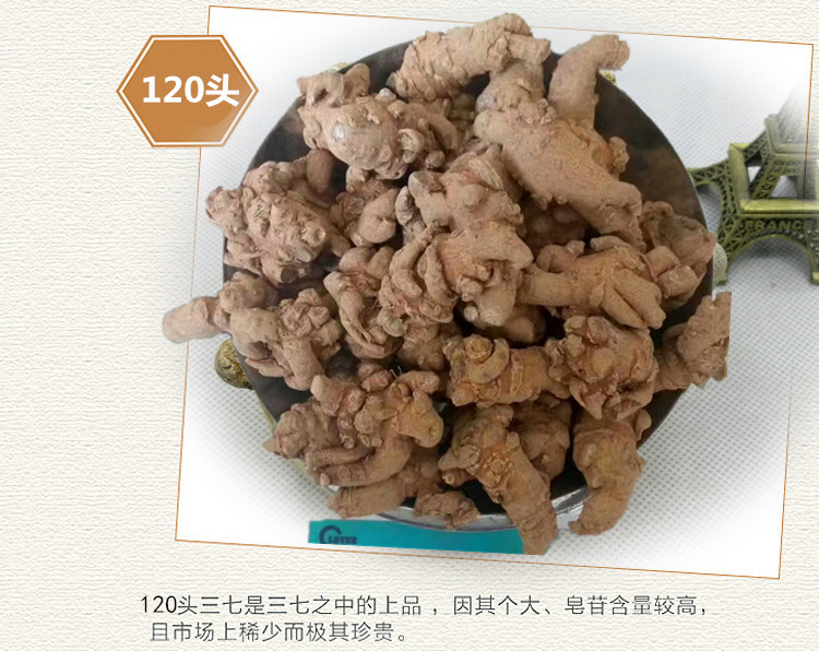 120头2.jpg