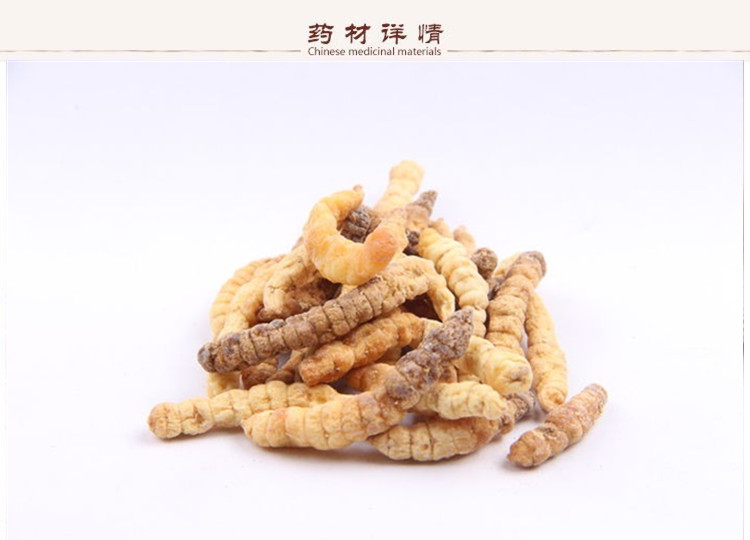 土虫草2.jpg