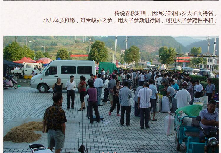 选货太子参3.jpg