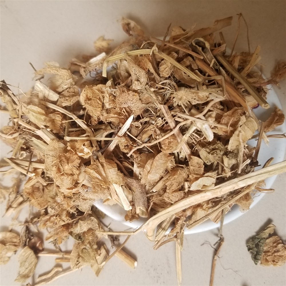 20190324_135119.jpg