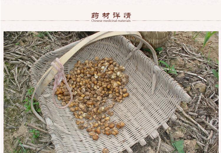 统元胡2.jpg