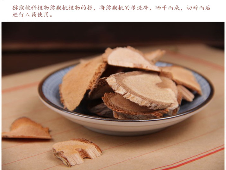 藤梨根4.jpg