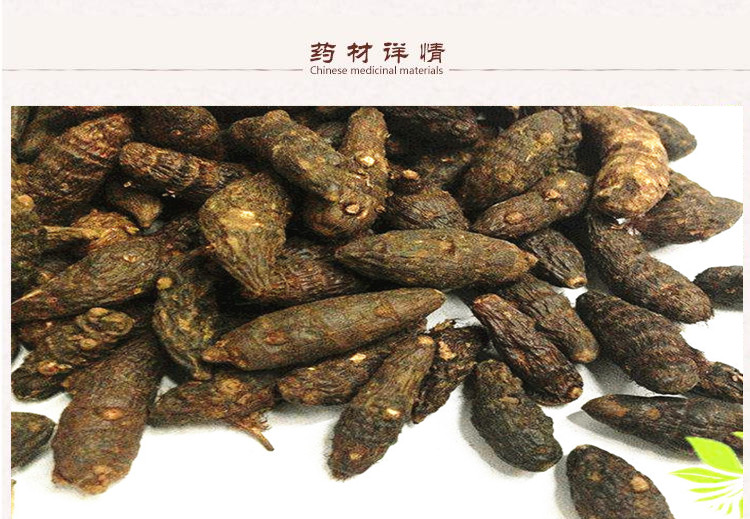 香附2.jpg