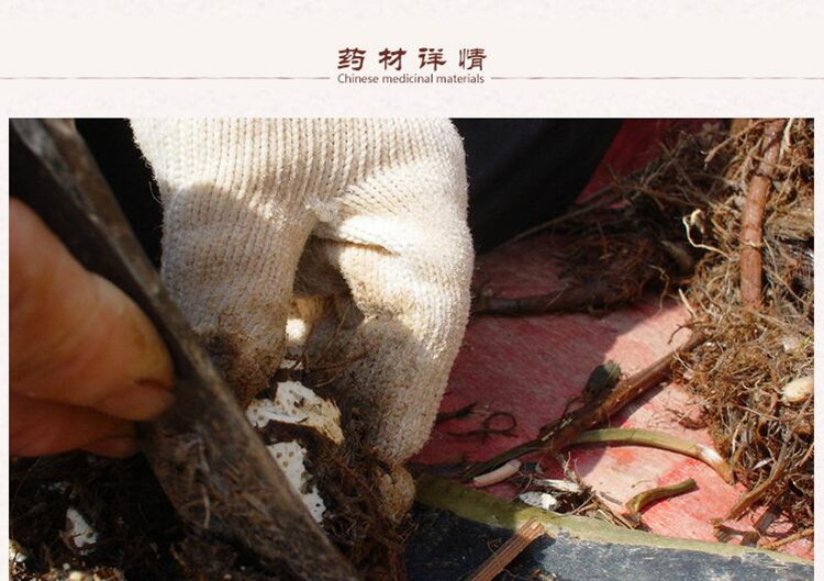 选片三棱2.jpg