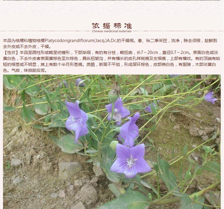 桔梗统货7.jpg