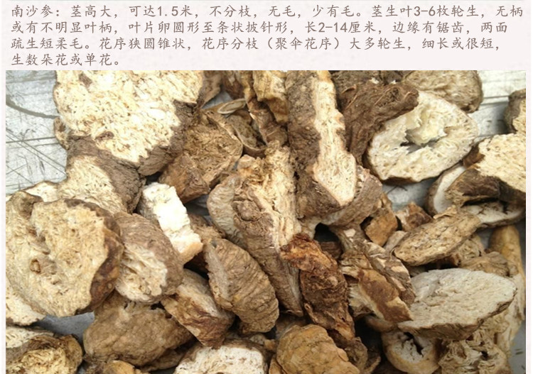 南沙参3.jpg