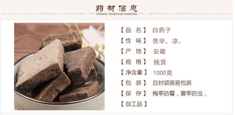 白药子1.jpg