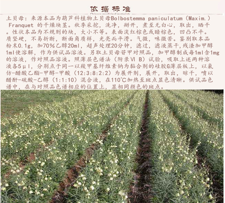 土贝母9.jpg
