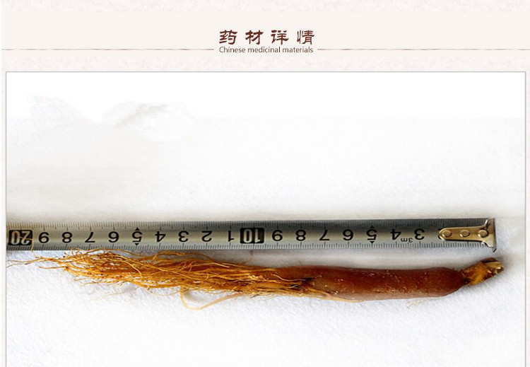 红参片2_.jpg