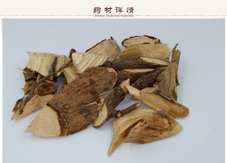 盐肤木根2.jpg
