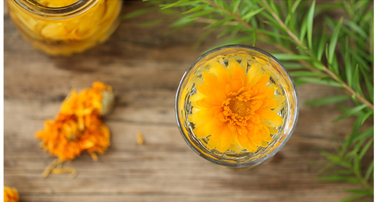 新金菊花5.jpg
