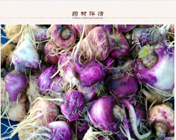 紫玛卡片3下.jpg