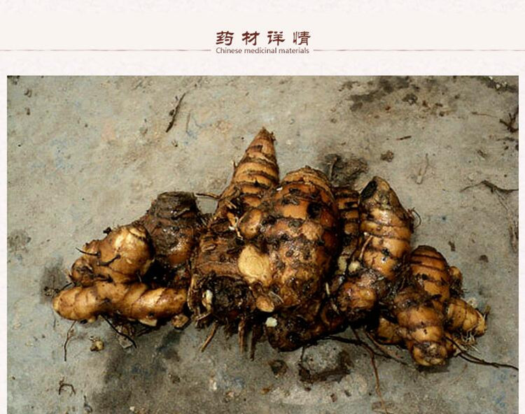 莪术2.jpg