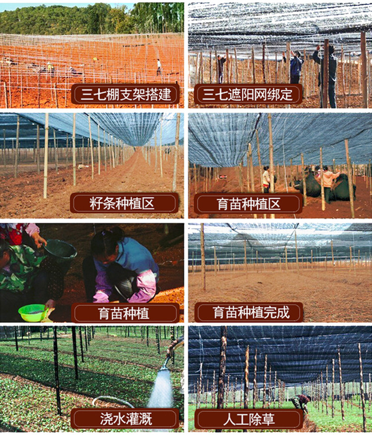 三起15.jpg