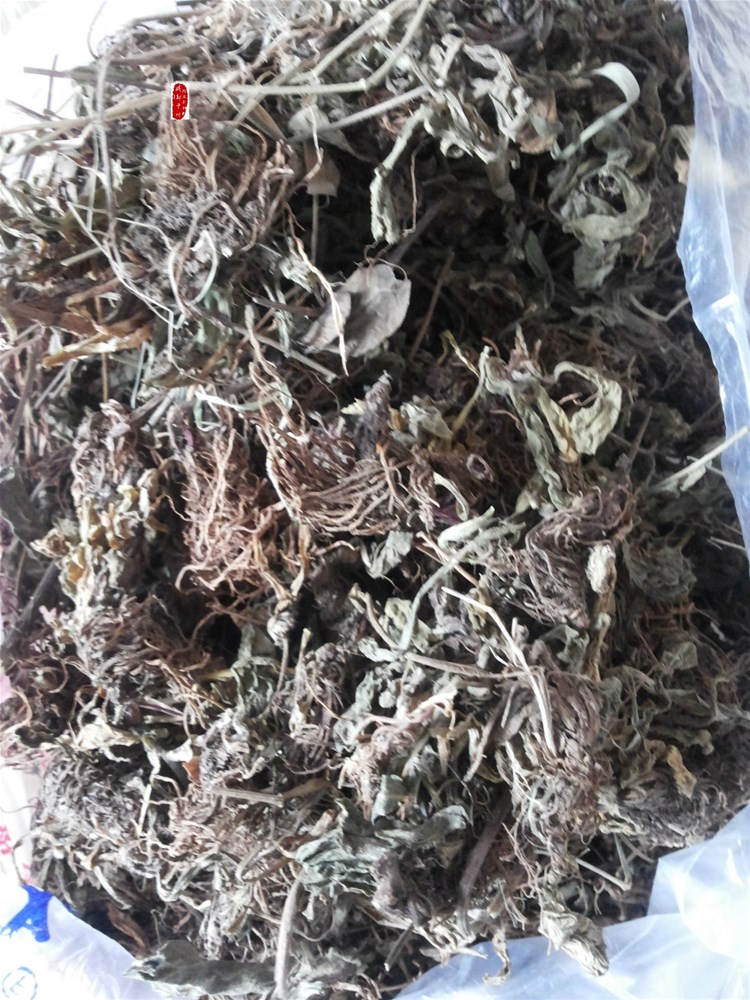 20150605_175741.jpg