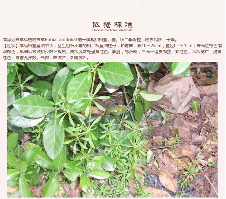 茜草6.jpg