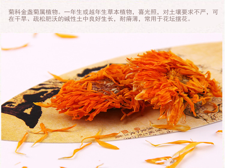 选金盏菊4.jpg
