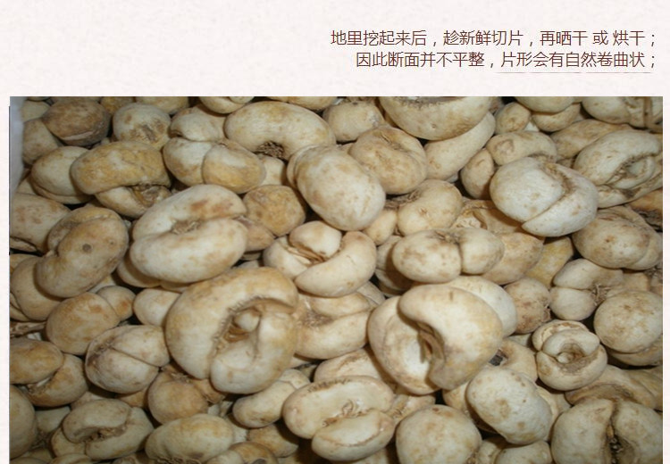 统个浙贝母7.jpg