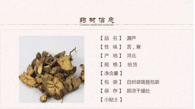 漏芦1_副本.jpg