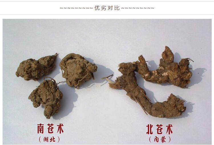苍术3.jpg