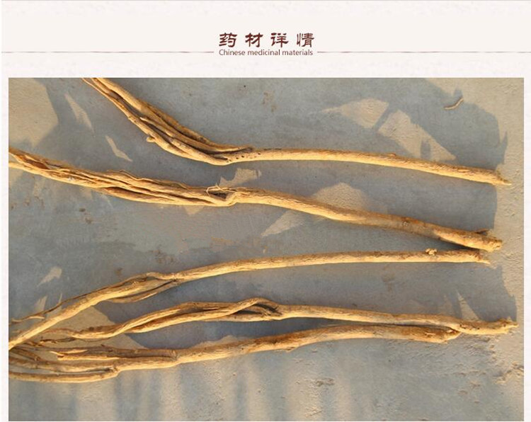xin黄芪3.jpg