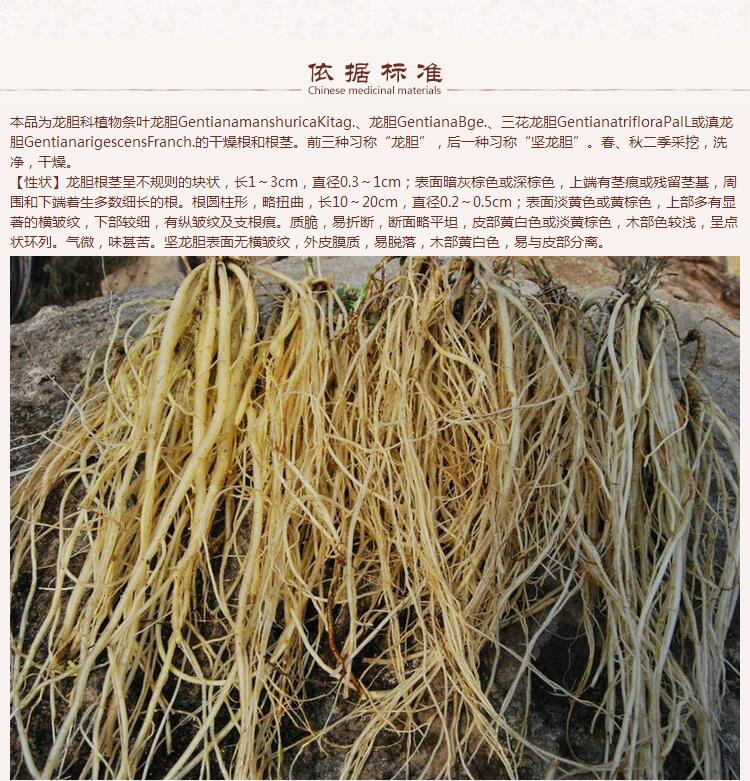 龙胆5.jpg