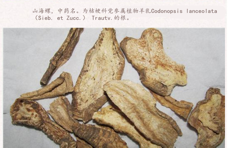 山海螺3.jpg