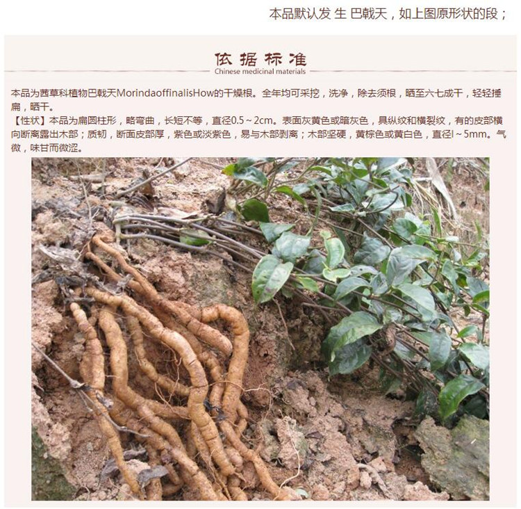 巴干5.jpg