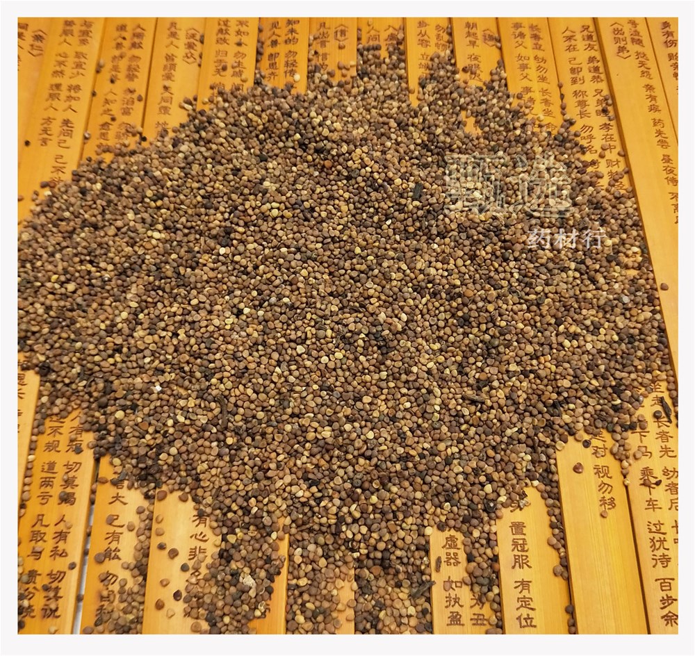 大菟丝子水印10.jpg