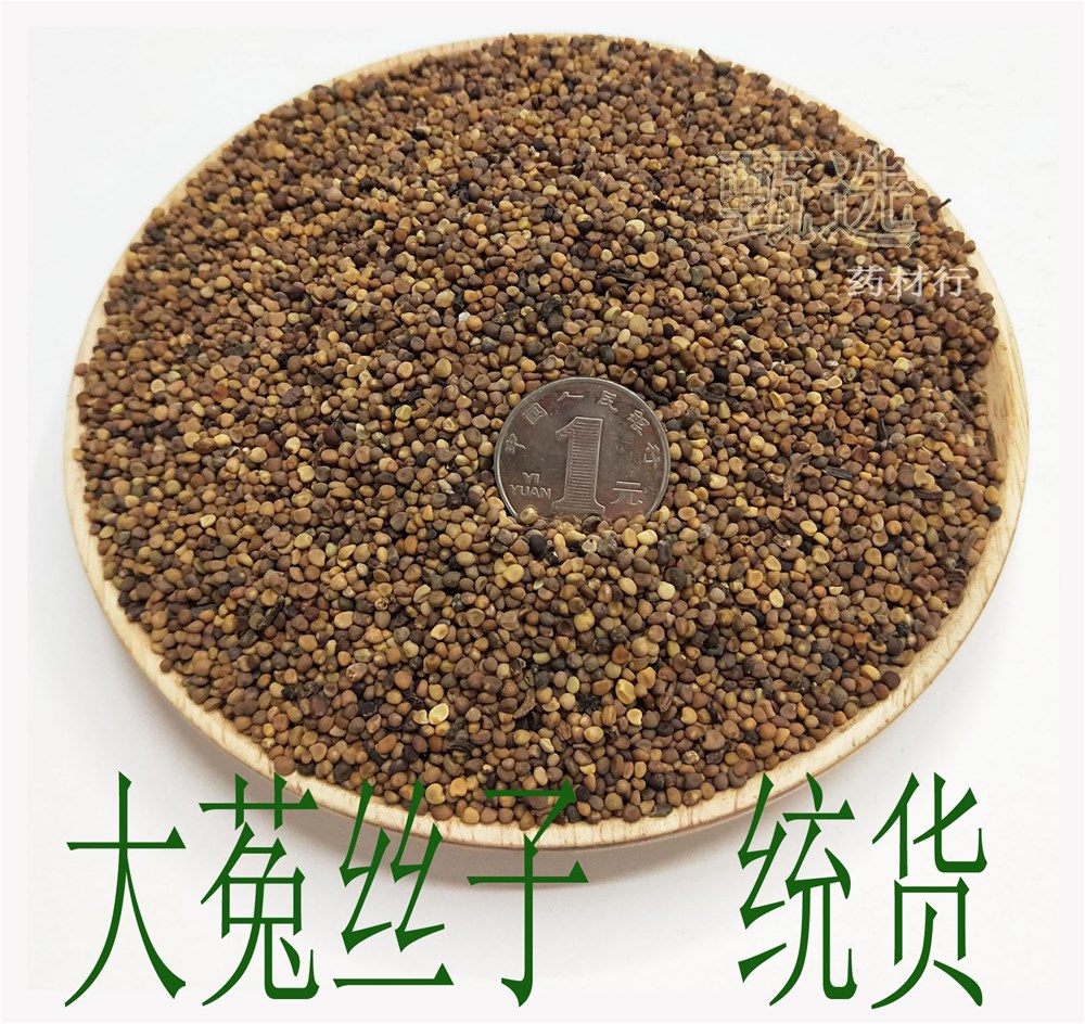 大菟丝子水印1.jpg