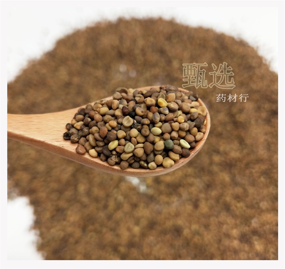 大菟丝子水印9.jpg